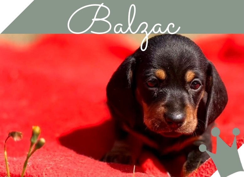 Balzac