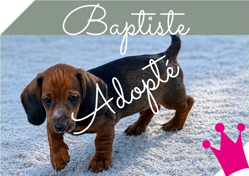 Baptiste