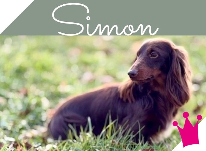 Simon